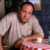 Tony Soprano Helps Dig Locals Out Of Snow